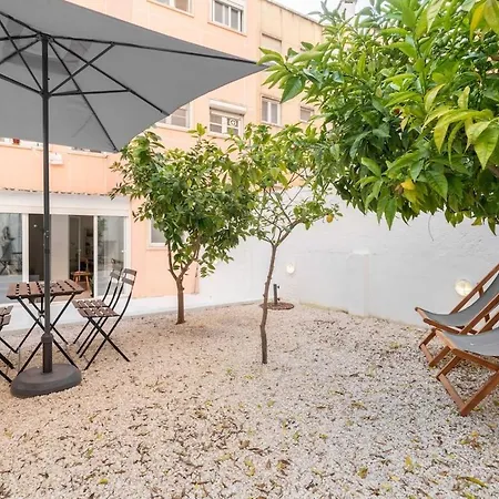 Ideal Office Com Terraco Privado