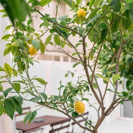 Ideal Office Com Terraco Privado Lizbona