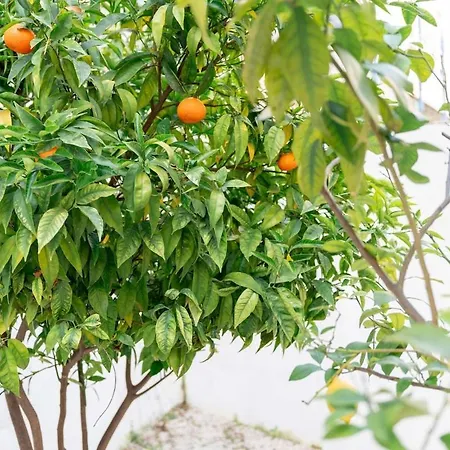 Ideal Office Com Terraco Privado Lägenhet *